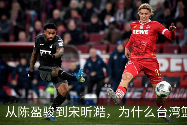 从陈盈骏到宋昕澔，为什么台湾篮球盛产优秀后卫？